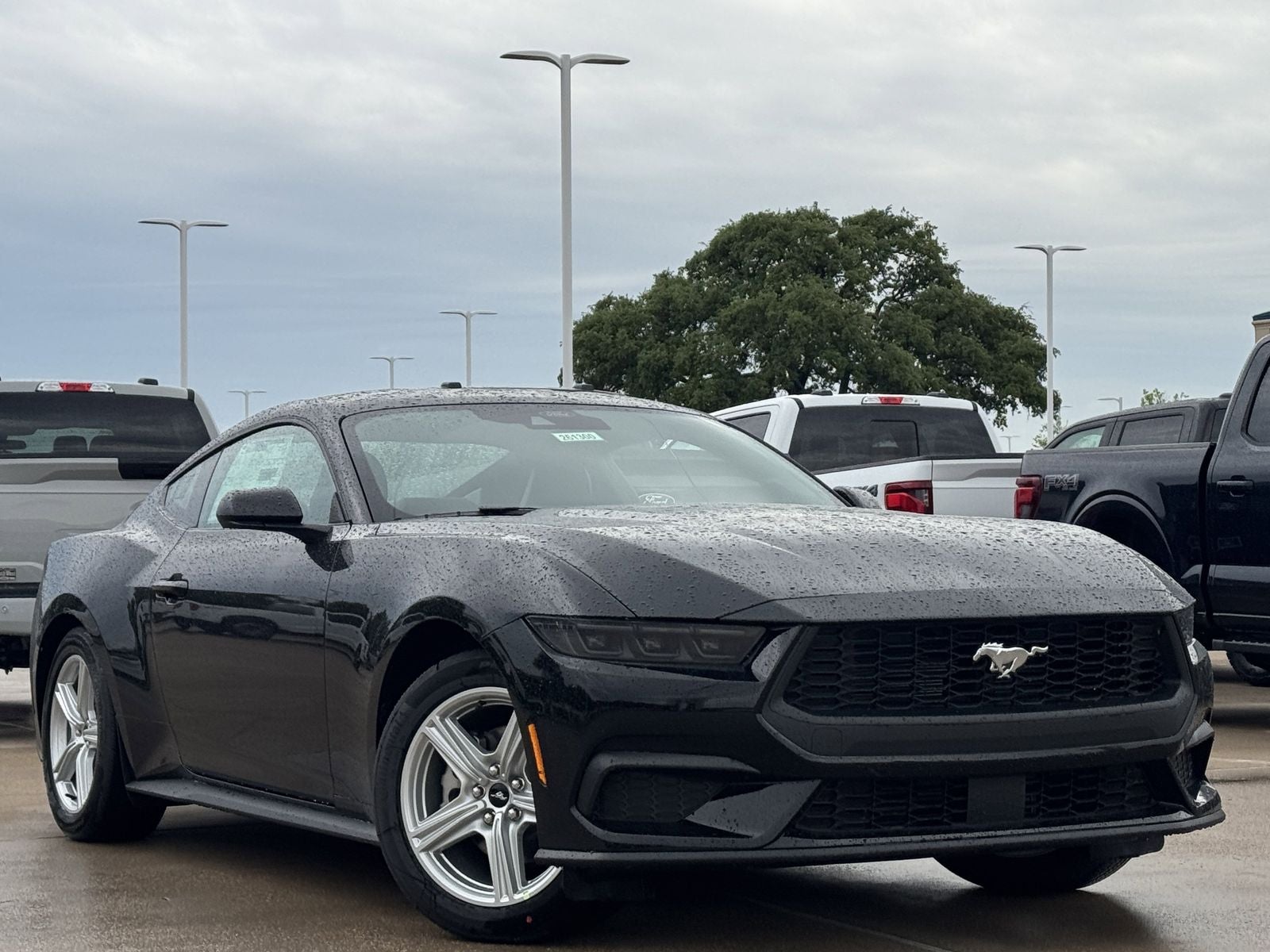 2026 Ford Mustang EcoBoost
