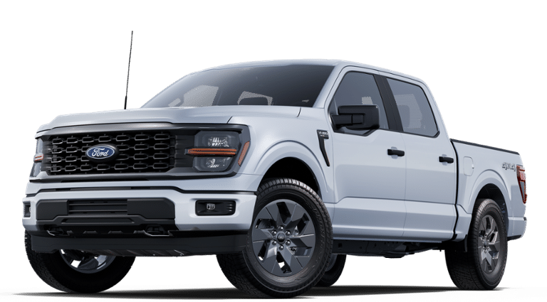 2025 Ford F-150 STX Fleet