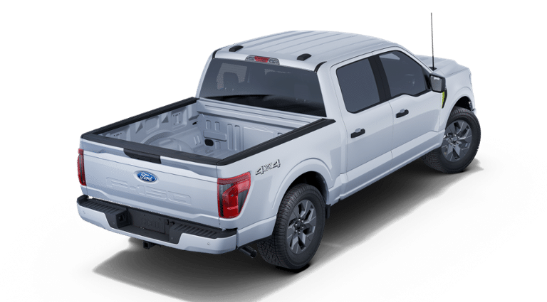 2025 Ford F-150 STX Fleet