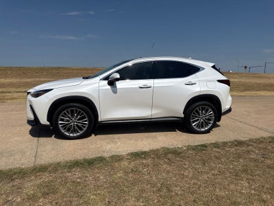 2023 Lexus NX 350h Luxury