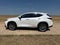 2023 Lexus NX 350h Luxury