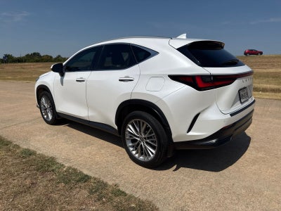 2023 Lexus NX 350h Luxury