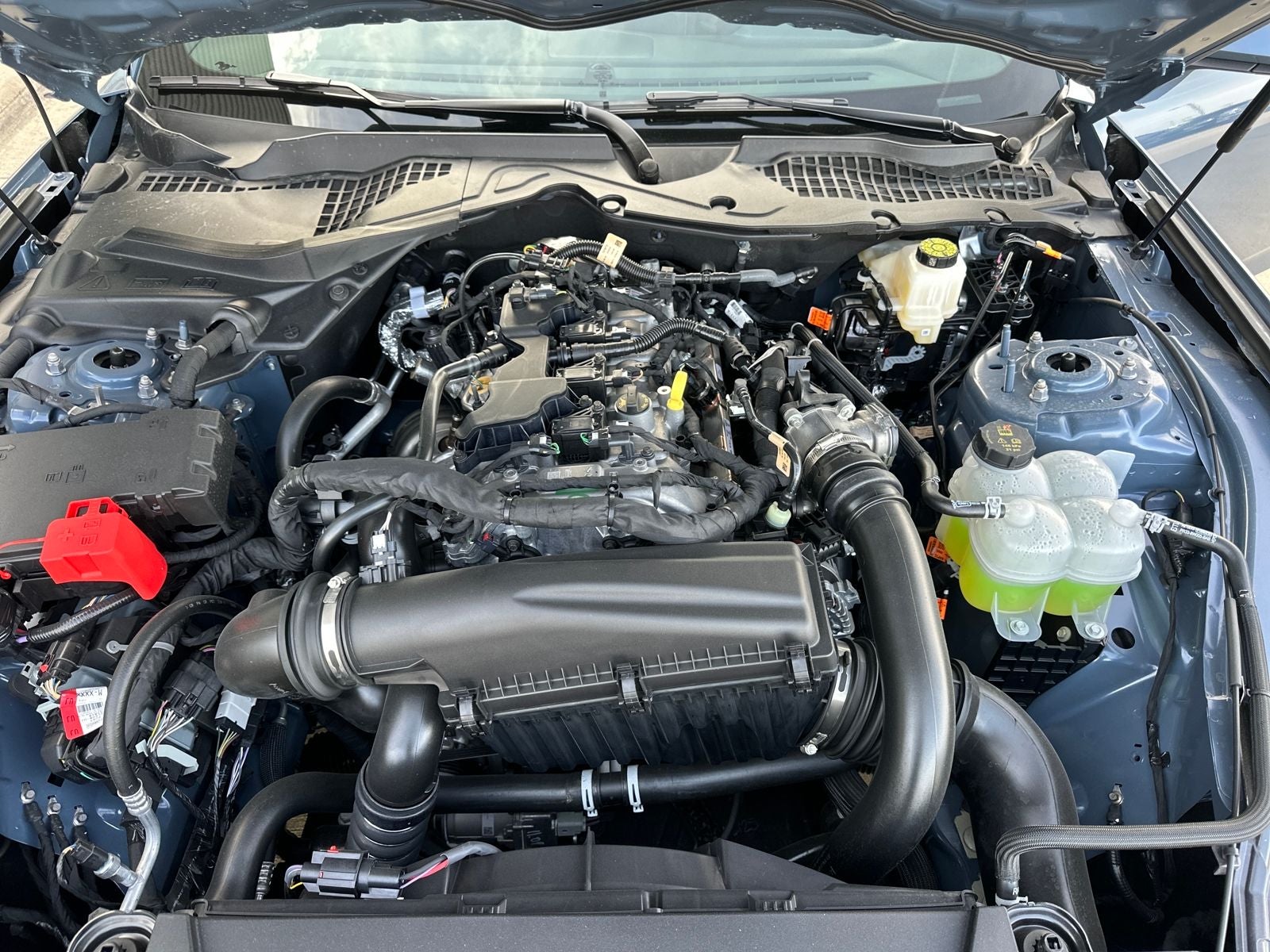 2025 Ford Mustang EcoBoost