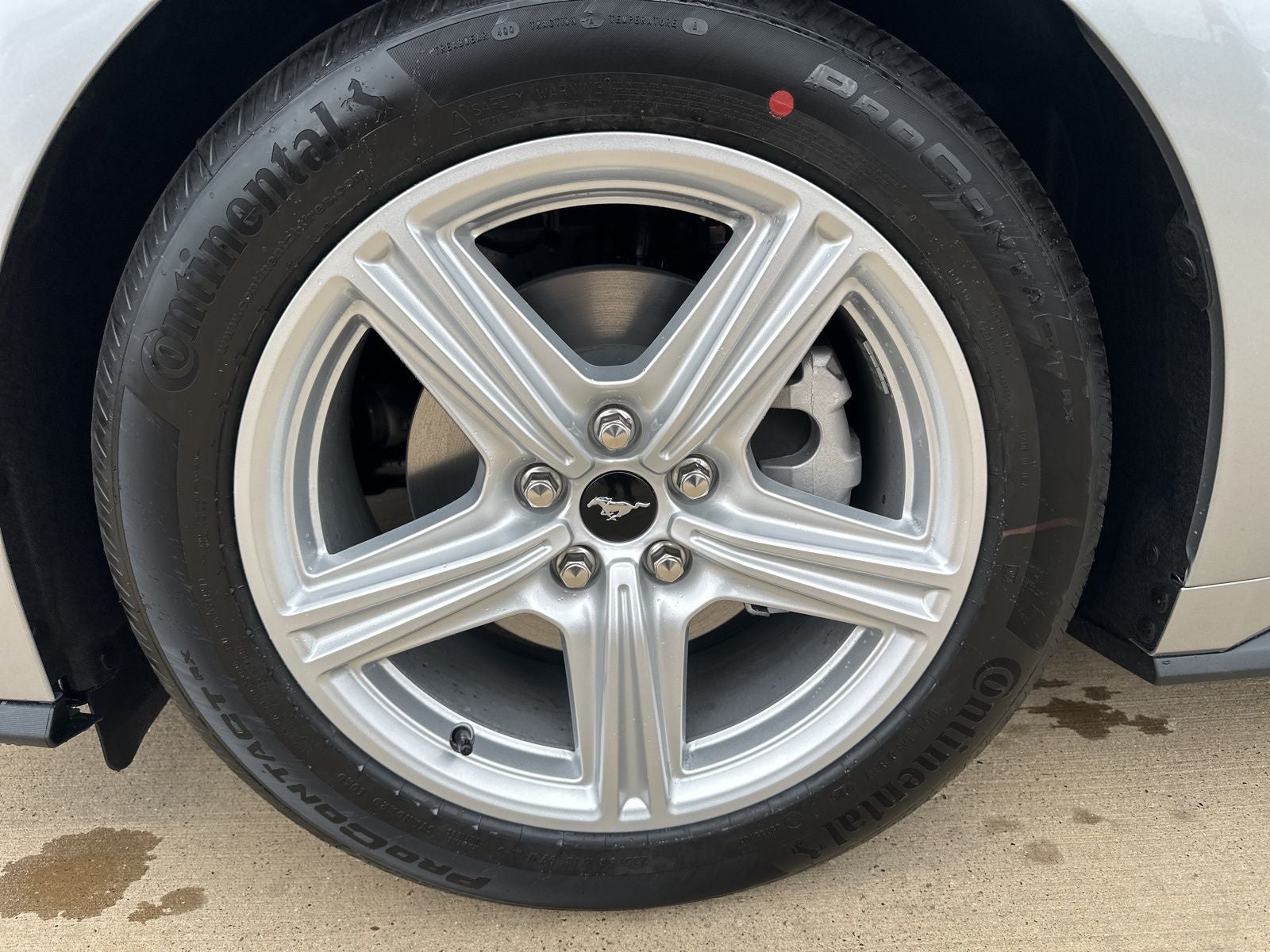 2026 Ford Mustang EcoBoost Premium