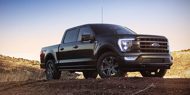 Black Ford F-150 pickup truck parked on rugged terrain with headlights on and a scenic outdoor landscape background.