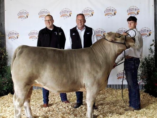 livestock sale of champions -cow 