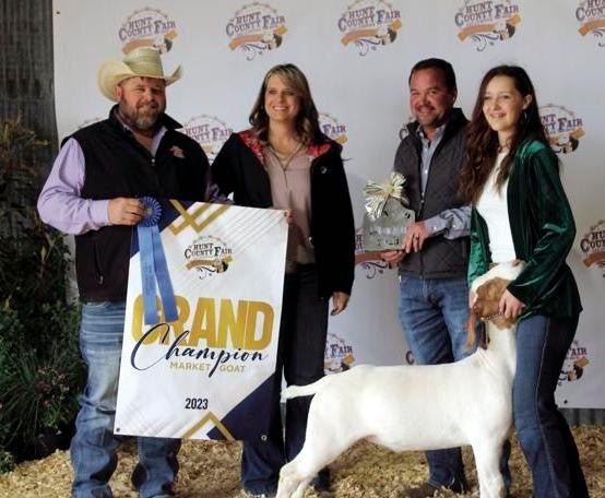 livestock sale of champions